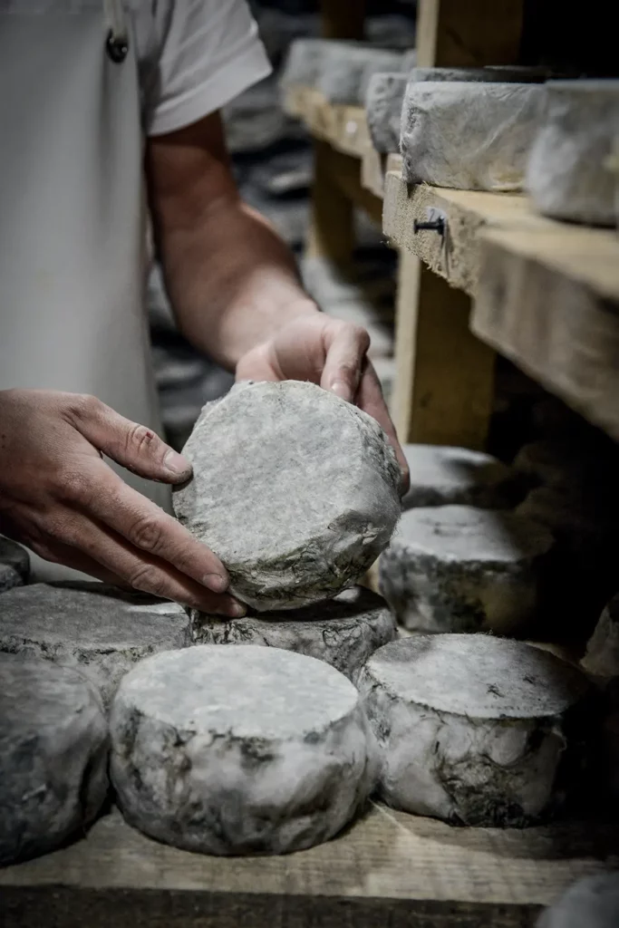 Chez Pépé Nicolas - Fromagerie 3