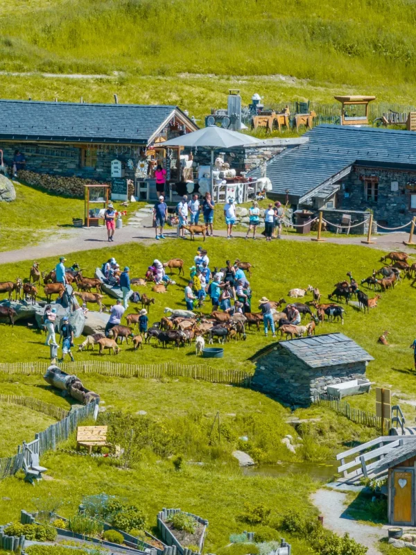 2400711_PhotosDrone_PepeNicolas-L.Brochot-13
