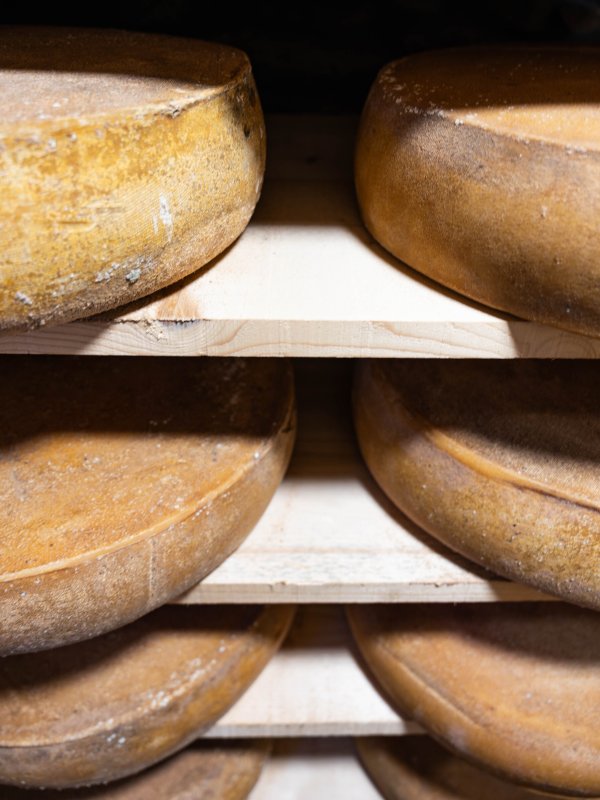 250701_Fromage - L.Brochot-9