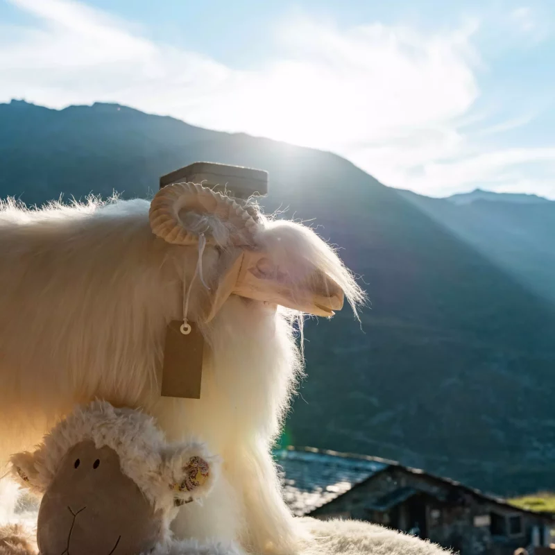 AnyConv.com__240806_PepeNicolas_Activités&Co - L.Brochot-83