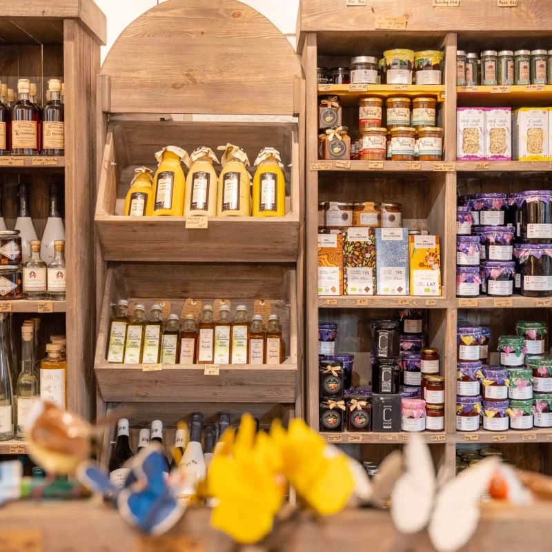 AnyConv.com__240806_PepeNicolas_Activités&Co - L.Brochot-94