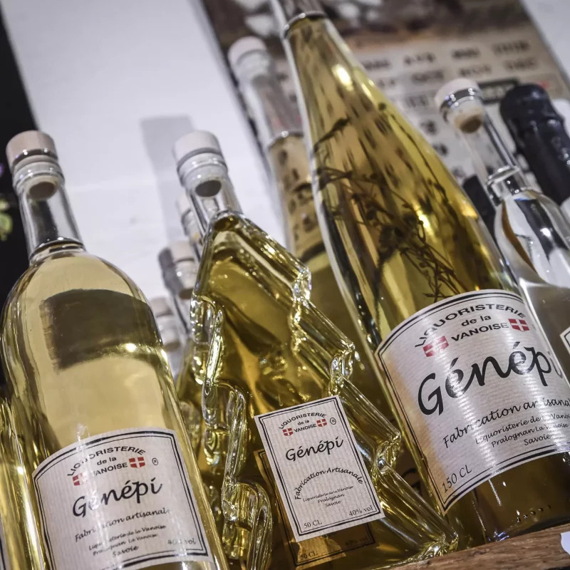 AnyConv.com__DSC_7865