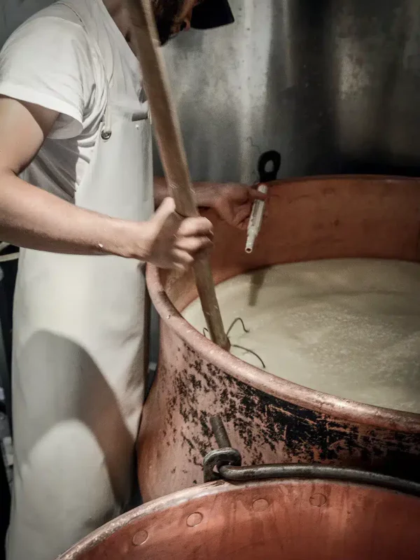 Chez Pépé Nicolas - Fromagerie 2