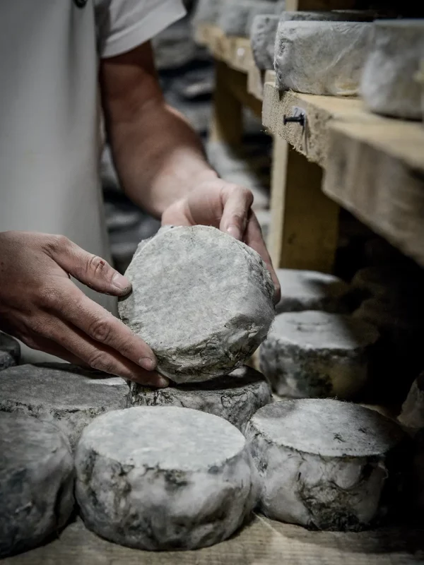 Chez Pépé Nicolas - Fromagerie 7