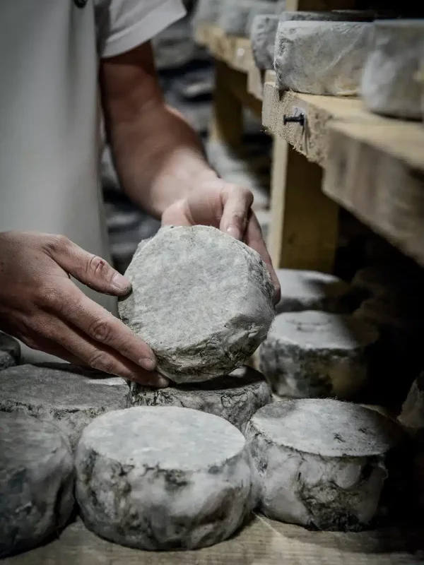 Chez Pépé Nicolas - Fromagerie 7