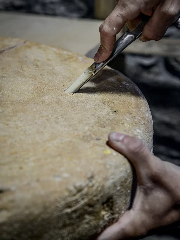 Chez Pépé Nicolas - Fromagerie 13