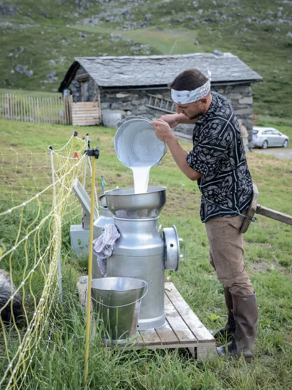Chez Pépé Nicolas - traite chèvre 2
