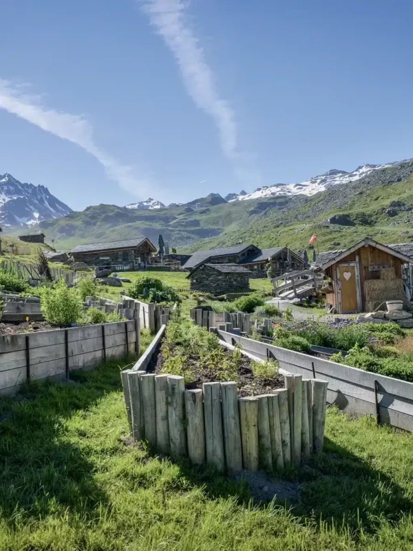 Chez Pépé Nicolas - Jardin 5