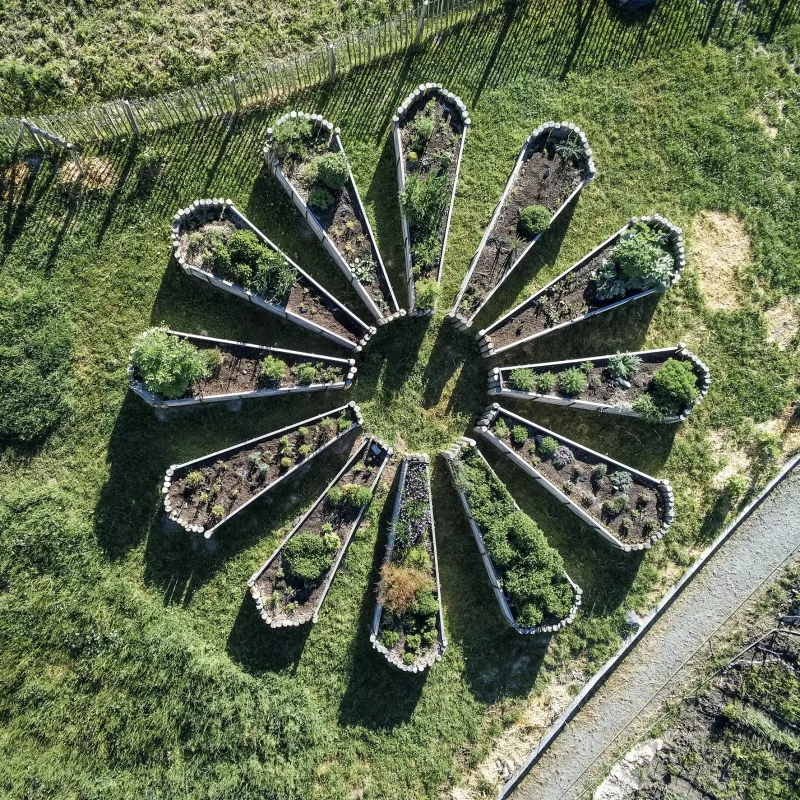 Chez Pépé Nicolas - Jardin 22